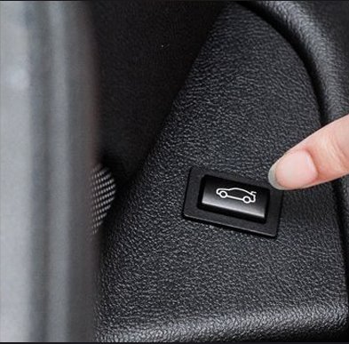 Tailgate switch manual button 1