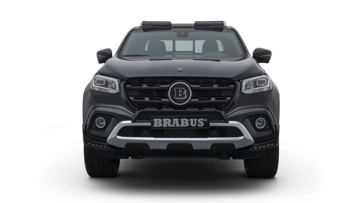 barbus