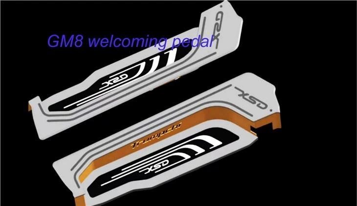 Elegant Car Welcome Pedal