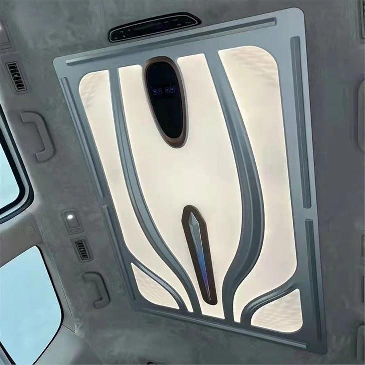OEM Car Interior Atmospere Lamp