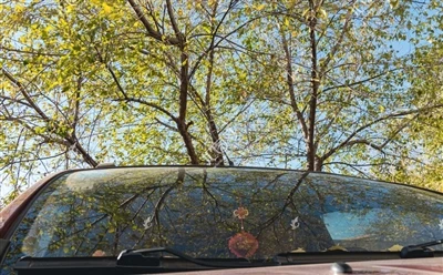 Cén fáth a bhfuil an windshield tosaigh de ghluaisteán claonta?